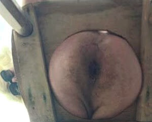 Fuck my Ass  #4