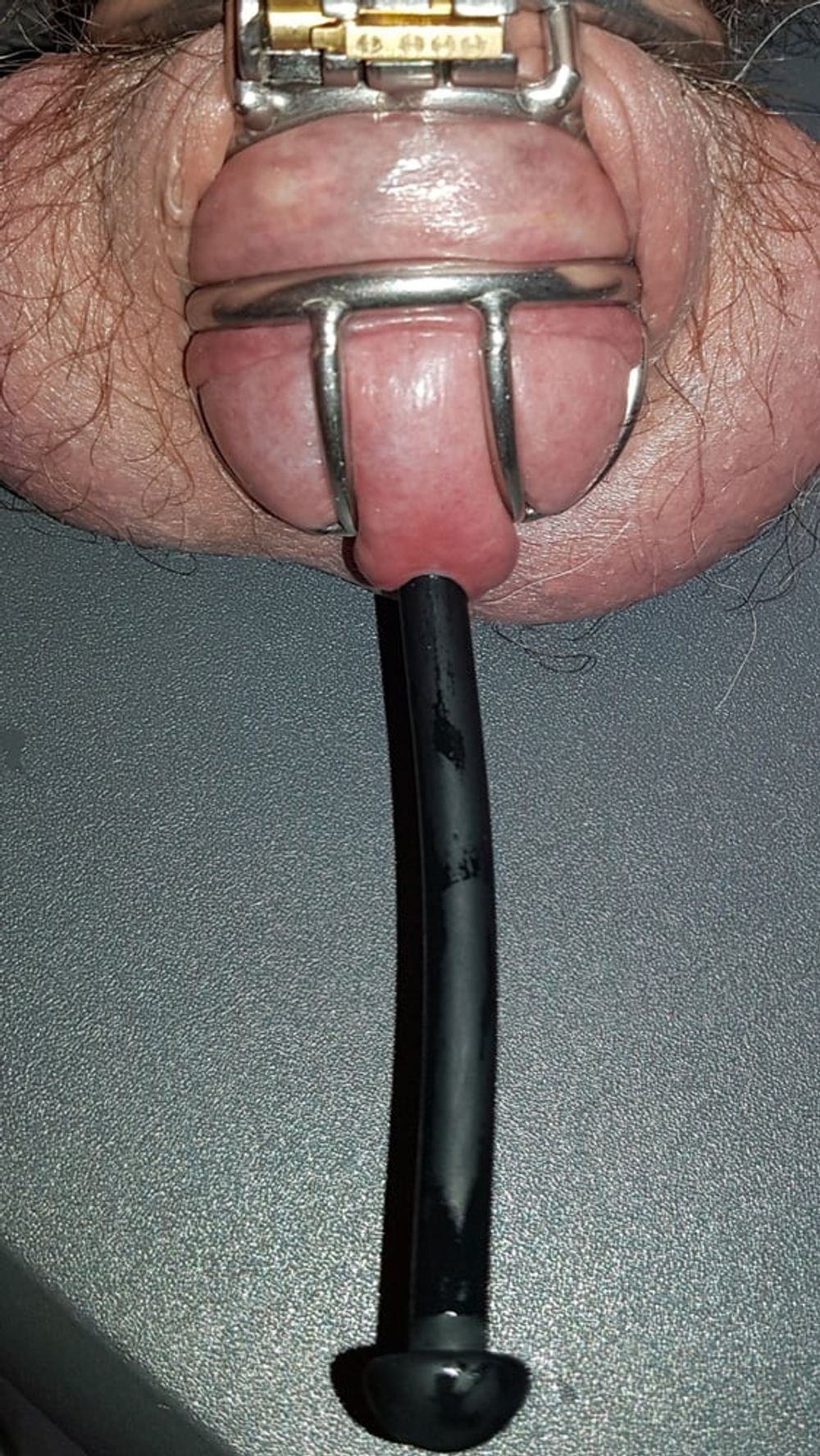 Urethral Insertion #9