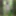 Wifey walks fully nude in public park