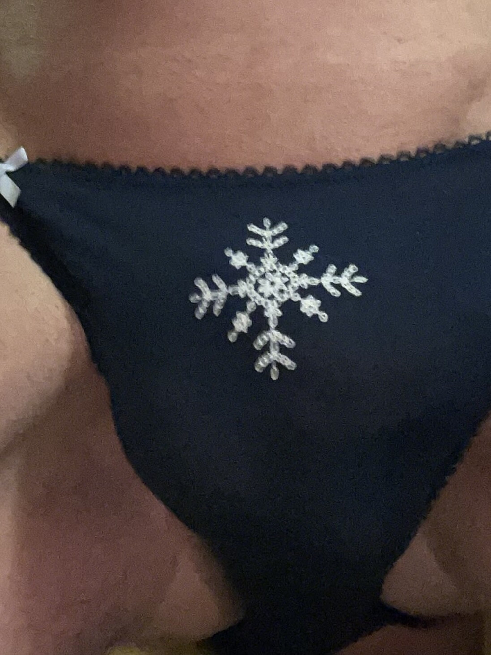 VS Panty Shipment #6