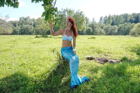 mermaid under the tree         