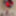 A Stunning Shoot With My Ruby Red Butt Plug #17