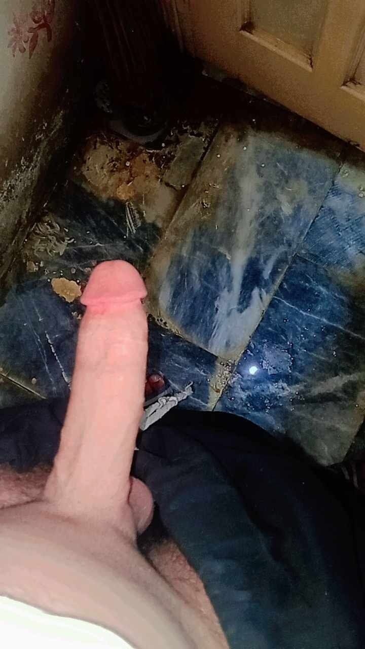 My lovely cock