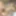Leeanna and Angel share a big dildo