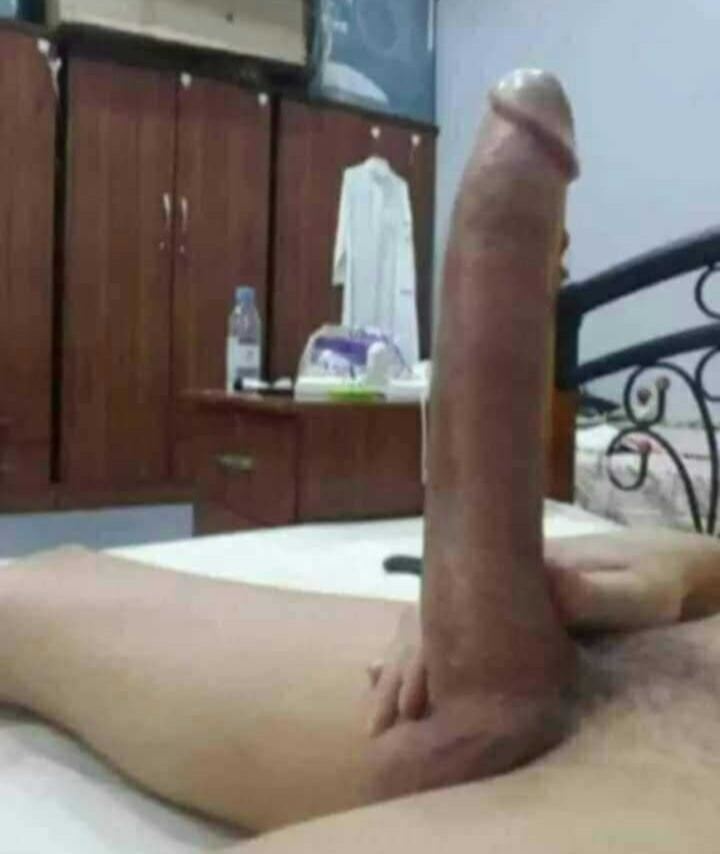 panis #2