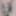 Daily duty of the naked slave March 14th, 2024 #6