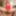 TRANSEXPOV: Amanda Riley Is Your Christmas Surprise!