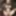 Sexy Elven Warrior Women CGI - Ultra HD 4K - Set 1
