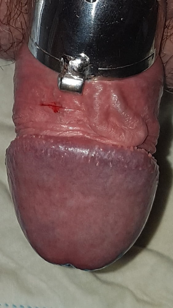 Chastity cage #10