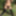 Very nice and nude girl in the forest 