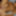 DeluxeDivas.com - Live Chat - Tamiry Chiavari #15