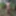 Slave in Forest #2