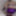 Violet Sissy Bimbo Harley Quinn Uniform Brandynette Aug 2019 #14