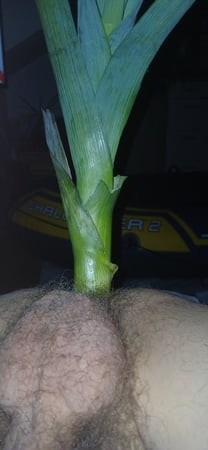 Anal sexy 
