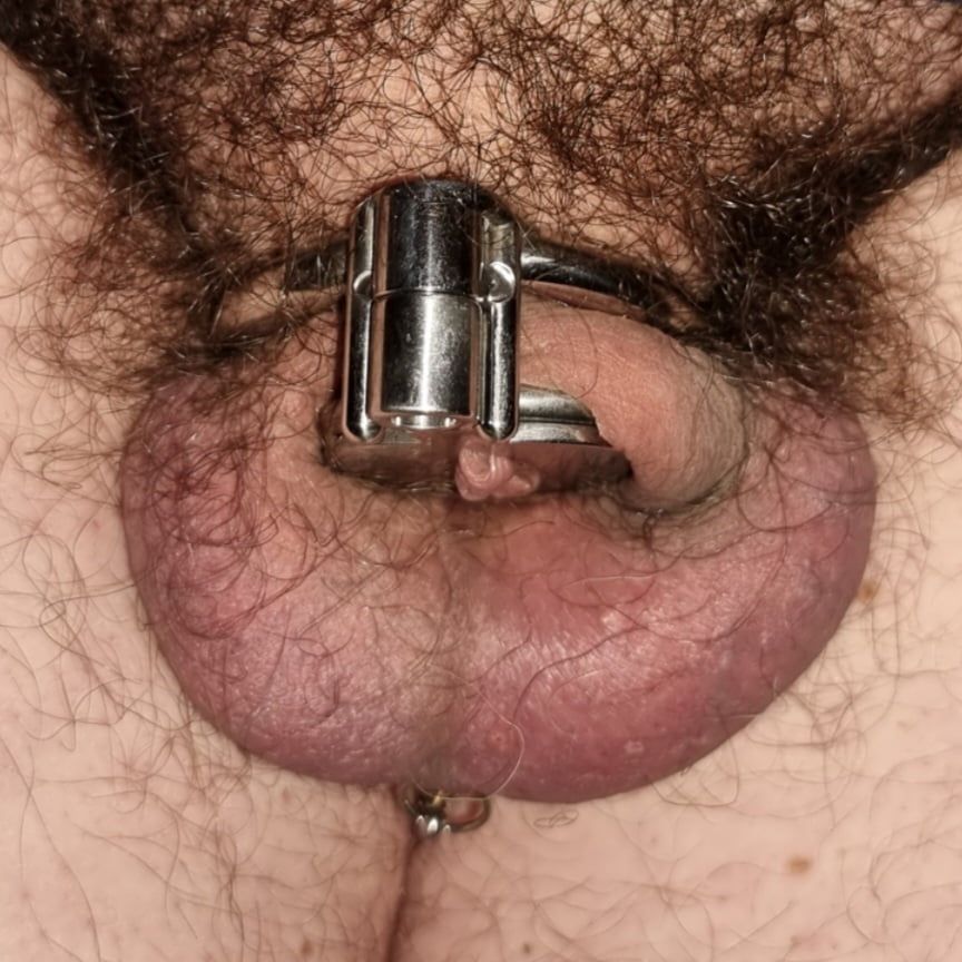 MY NEW CHASTITY CAGE #10