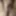 Hotwife’s hairy pussy creamed by her bull