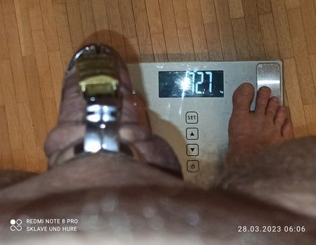 Weighing with cagecheck 