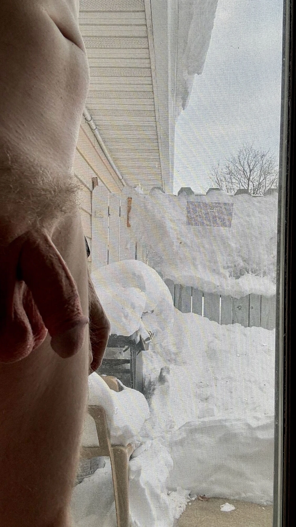 Some Cock Pictures I found Lying Around #6