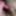 Edging small penis with clit vibrator #2
