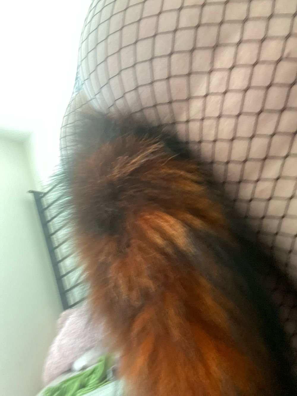 Little fox girl and her tail #3