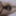 A little assplay #12