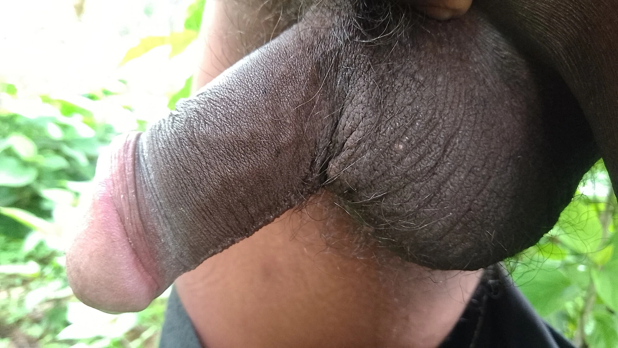 My little Black cock 