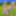 マイリトルカウファーム