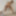Amateur Latina MILF Natali Posing Nude #5