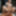 Boxenluder will gefickt werden