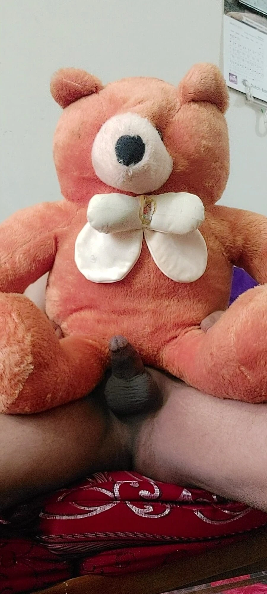 Meu pênis de urso de pelúcia