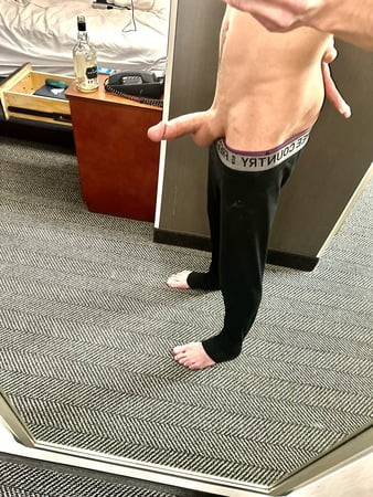ディック写真