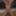 weighing, nippletorture and cagecheck of 02.02.2023