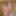 Finally, an update May 2015 #26