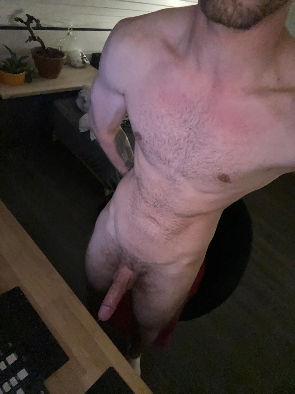 My Cock