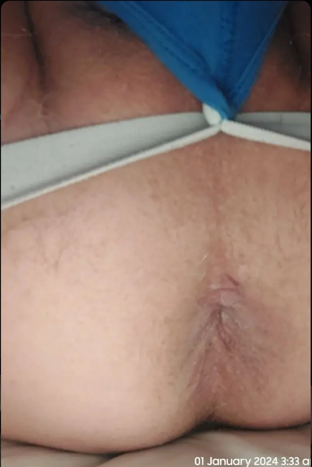 Hammy's pics #9