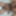 Hot Gay Gay Boy Old Man Gay Big Cock Gay Big Ass Gay Cum in 