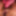 VERY UNUSUAL MOUSE NOSE NIPPLES GIRL GOT GIFT - KILO OF 🧀C #36