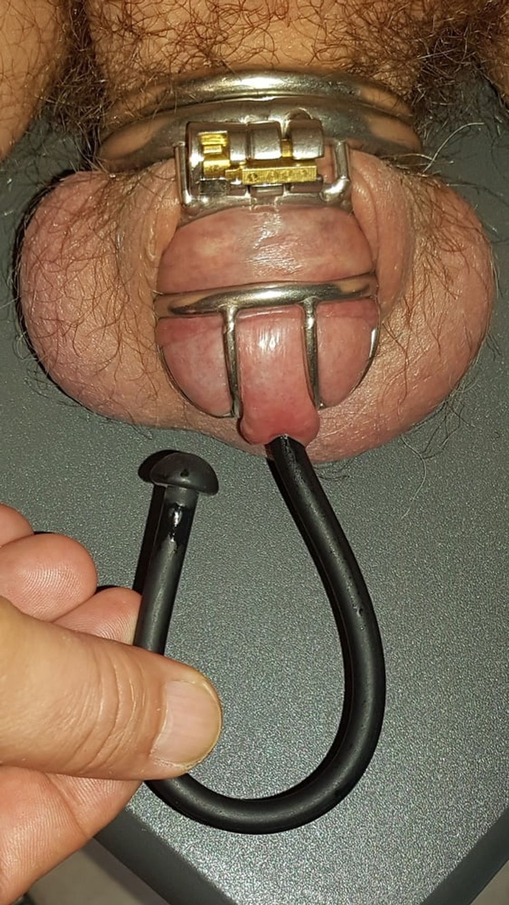 Urethral Insertion #3