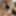 Blonde Crossdresser Transvestite in Fur  for Masturbation  #14