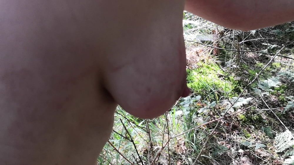 Naked Tits and Ass whipping in woods #41