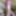 Dick pics