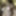 New close ups  #3