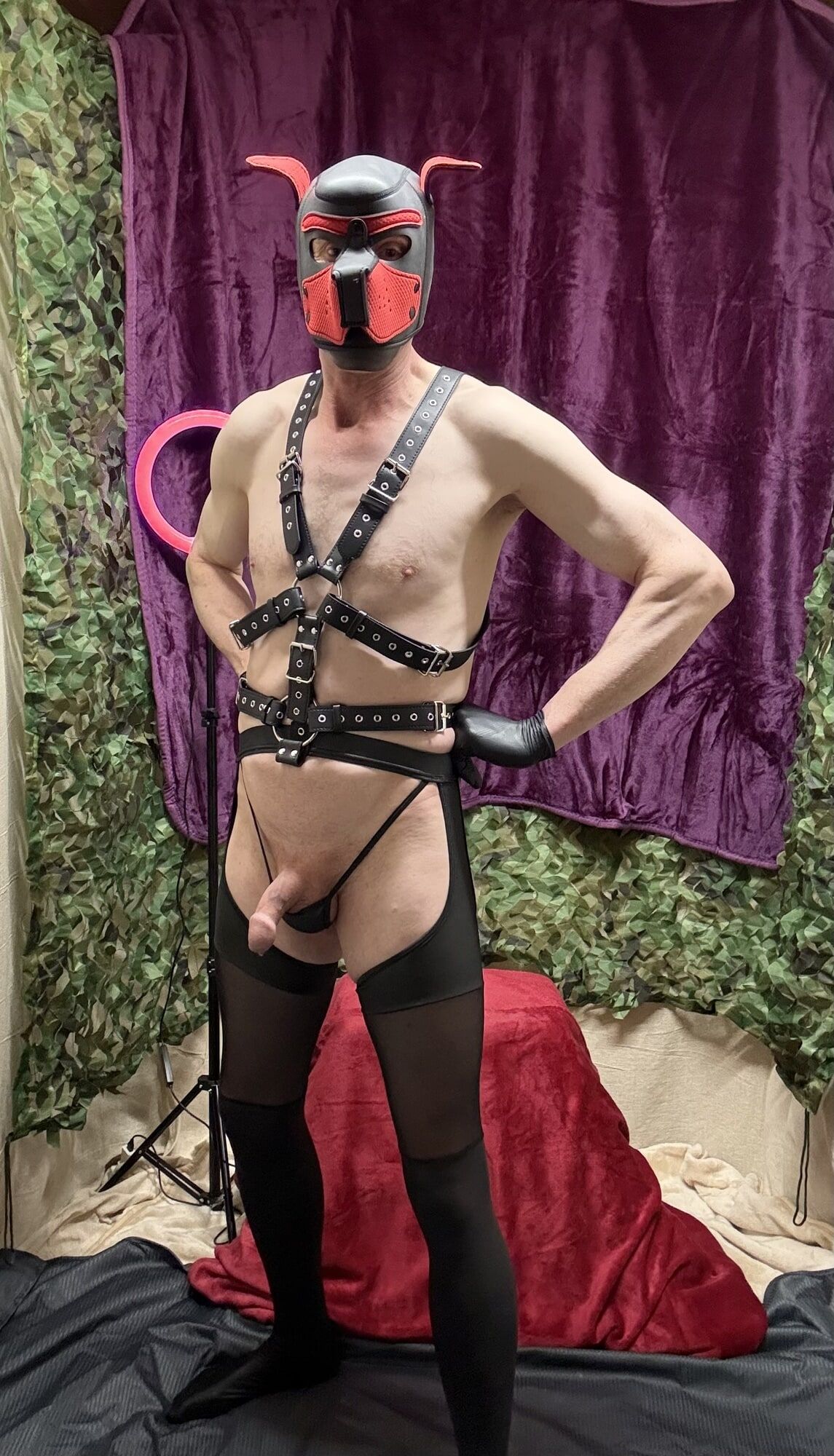 Horny Cock Show With Harness And wet look stockings  #4