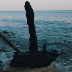 Moana XXX