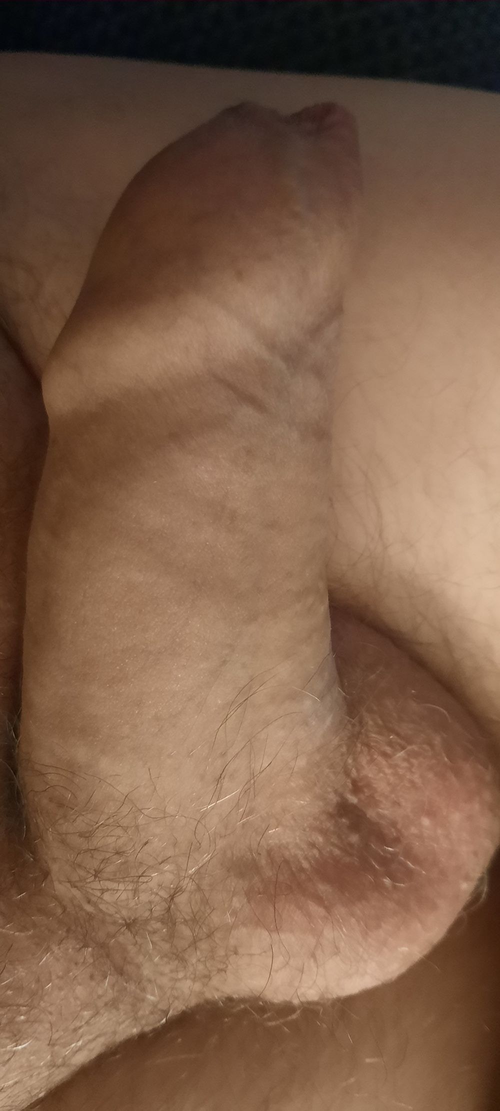 Horny 