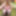 Amateur Crossdresser Kellycd2022 sexy milf in stockings  #20