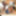 BLACK-TGIRLS: The Sweetest Surprise