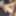 TGIRLS XXX: Blair Carter Takes it Raw!