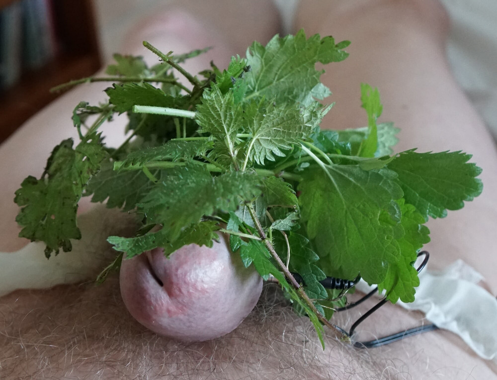 Tormenting my naughty sissy cock #16