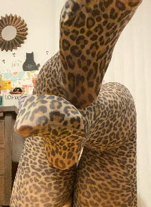 Cheetah Girl